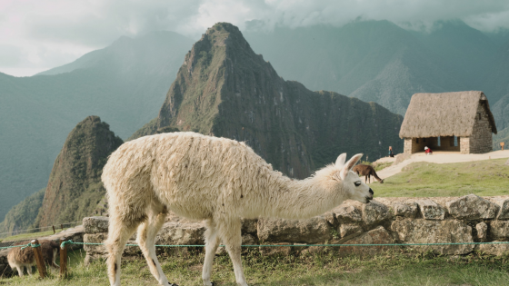 PERU CON MACHU PICCHU